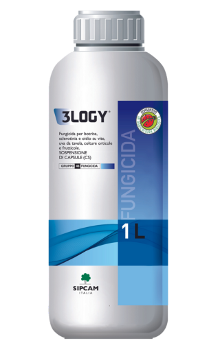 Scopri l'efficacia di 3LOGY sulle orticole!